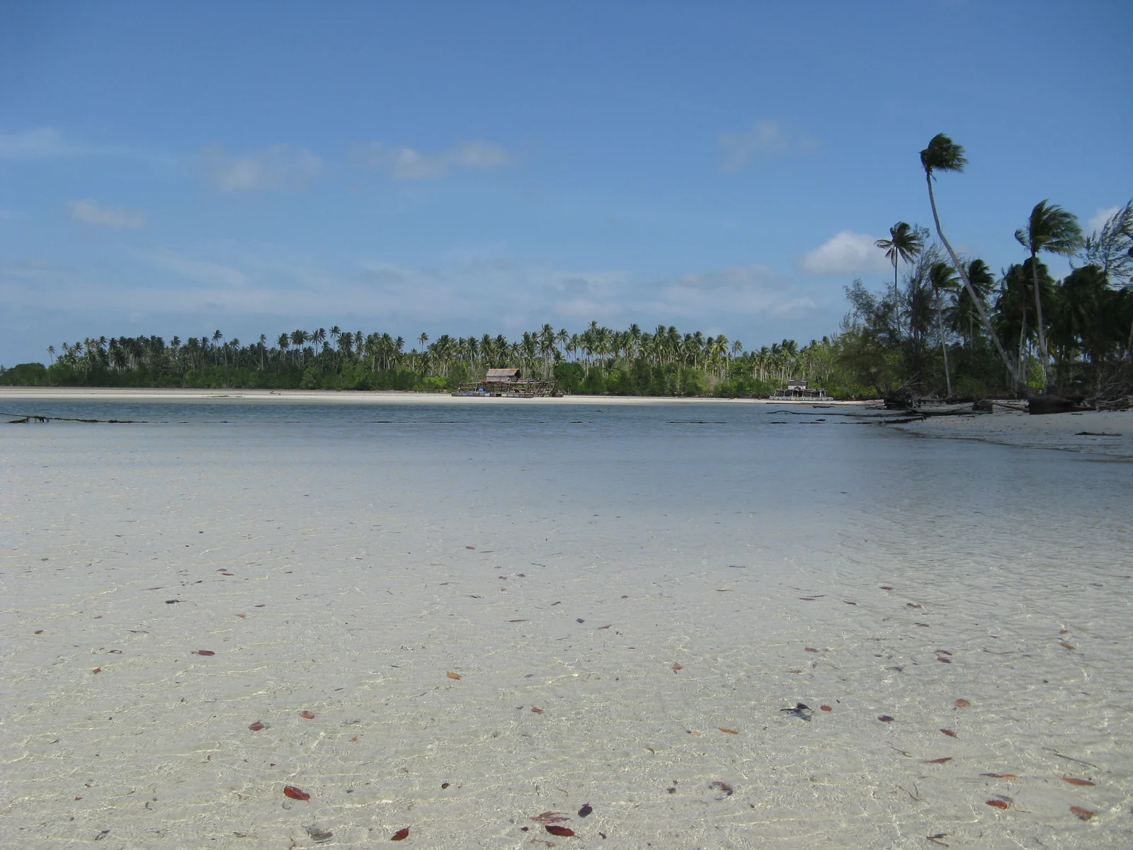 Perairan dangkal, garis pantai, pepohonan, dan bangunan kecil di pesisir Sumpat, Bintan